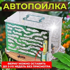 Формикарий XXL 