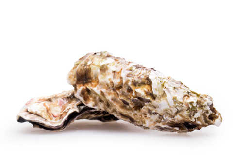 Устрицы Крымские, шт