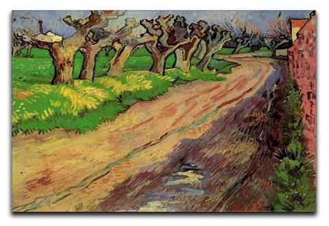 Visconti Van Gogh 2014, Pollard Willows (Vs-786/45)