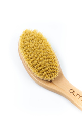 ALMASPA Щетка из кактуса для сухого массажа, 25 см