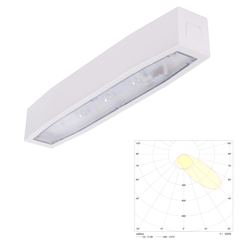 Светильник аварийного освещения накладной асимметричный для путей эвакуации Suprema LED SСA NT IP54 Intelight