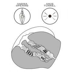 Двойной мастурбатор Streetgirl's в виде попы и вагины телесный № 13