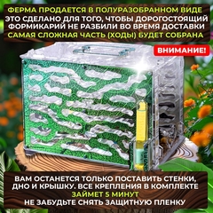 Формикарий XXL 