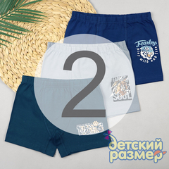 2 (3-4 года)