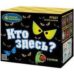 Батарея салютов "Кто здесь?" (0,7 х 48)