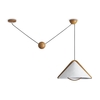 Потолочный светильник Freya Umbra FR5554CL-01T