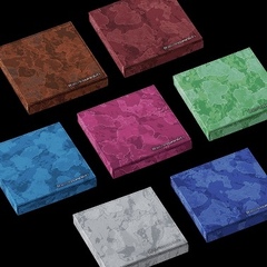 Альбом ENHYPEN - THE SIN : VANISH (FUGITIVES Ver.)