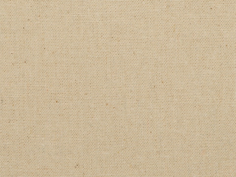 Сумка из плотного хлопка «Carryme 220»