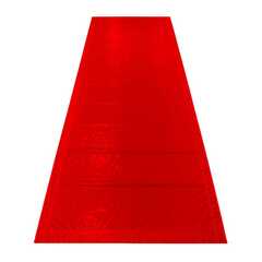 Склиз (полотно) на надувную подушку для фристайла, 8,5*4*2,5 м