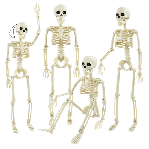 Скелет человека фигурка подвижная 40 см