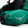 Картинка рюкзак туристический Osprey Rook 50 Mallard Green - 8