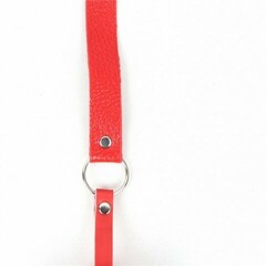 Кляп для рта Red SM Gag