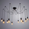 Люстра Arte Lamp Fuori A9184SP-10BK