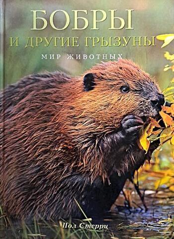 Бобры и другие грызуны