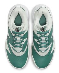 Женские теннисные кроссовки Nike Court Lite 4 Clay - light silver/white/bicoastal/black