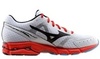 Кроссовки беговые мужские Mizuno Wave Rider 17