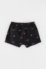 трусы/ уп  для мальчика  К 1912-2уп/пыльный кедр,угольный серый,мотоциклы