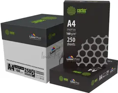 Бумага Cactus CS-LPA4160250 A4 марка A/160г/м2/250л./белый CIE170% для лазерной печати — фото 2