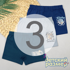 3 (5-6 лет)