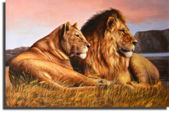 Постер "Пара львов"