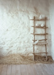 Голуби №1 (тематика 9-е Мая) - фон неопреновый