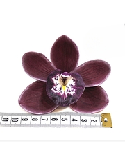 Молды пластиковые Набор Д-9 