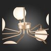 Светильник подвесной ST Luce Redjino SLE106203-09