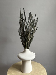 Иванхое зеленое