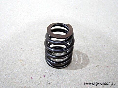 Пружина впускного клапана / VALVE SPRING АРТ: 10000-65975