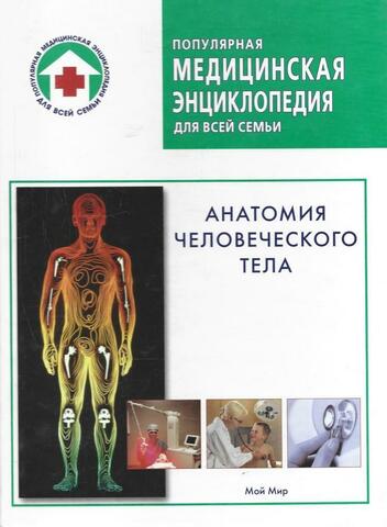 Анатомия человеческого тела
