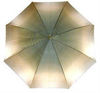 Зонт-трость Pasotti 189-21285-A35
