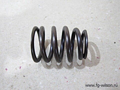 Пружина впускного клапана / VALVE SPRING АРТ: 10000-65975