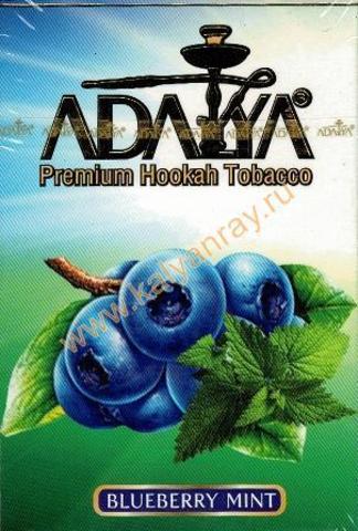 Adalya Blueberry Mint