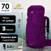 Картинка рюкзак туристический Nevo Rhino 8921-NW Purple - 1