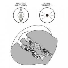 Двойной мастурбатор Streetgirl's в виде попы и вагины телесный № 11