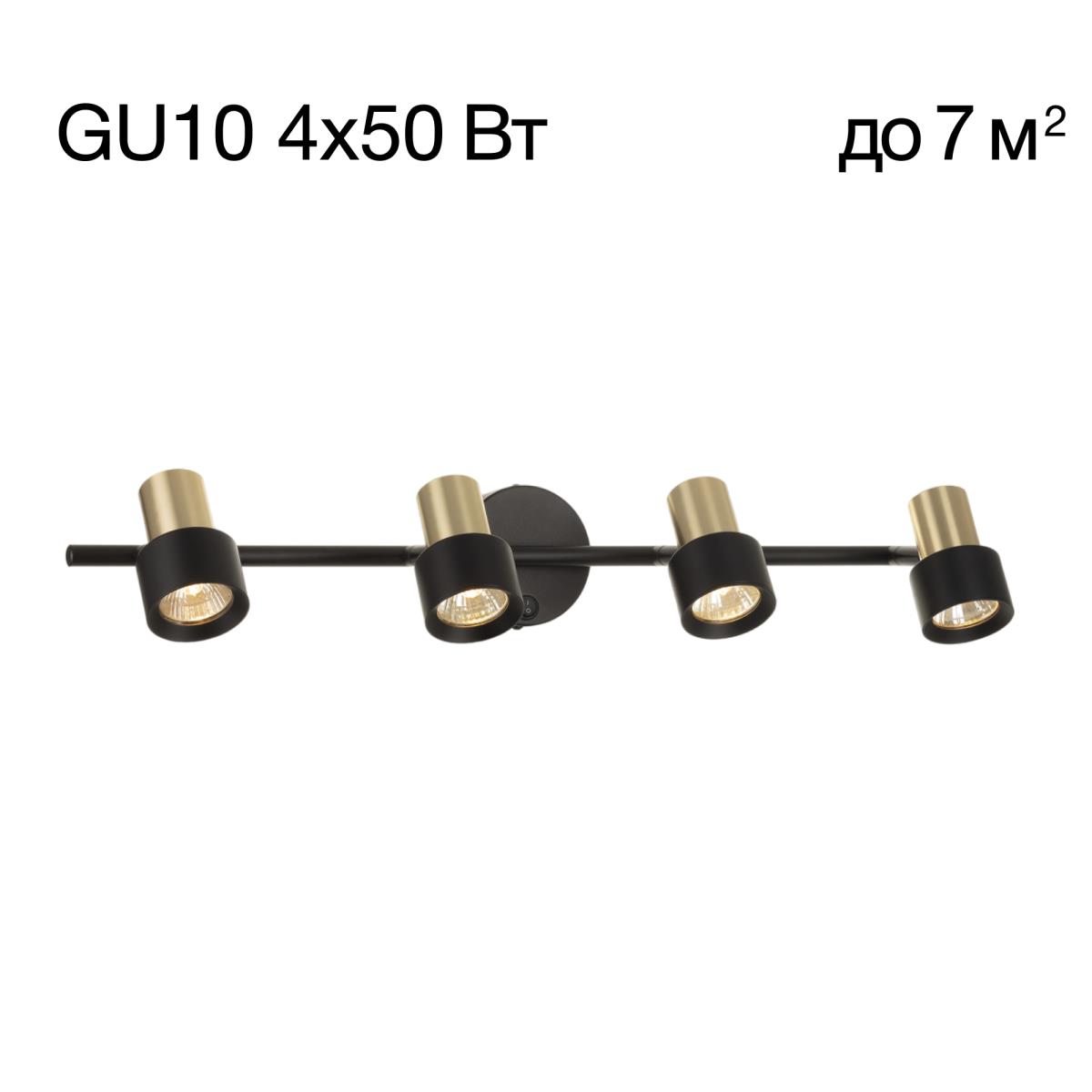 Спот поворотный Citilux SAT CL505641