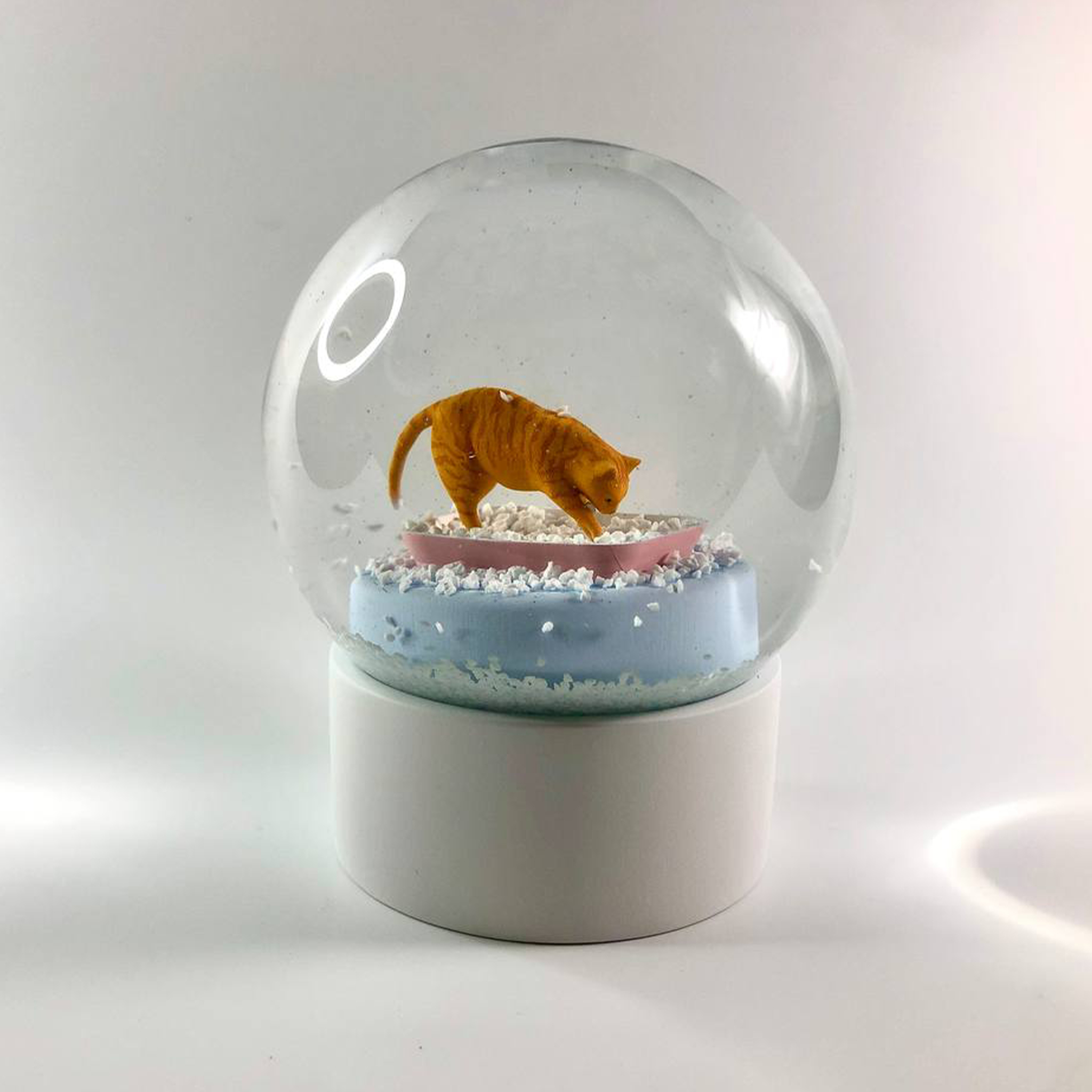 Снежный шар / кот в лотке