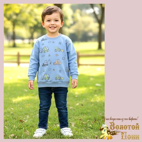 Свитшот трикотаж м (74-98) 251205-Y5112