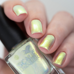 I Had All The Answers (LE)