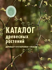 Каталог древесных растений. Деревья, кустарники, лианы