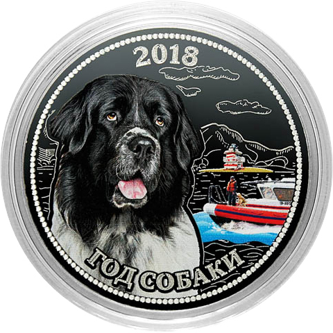 Гравированная монета. Год собаки - ньюфаундленд (спасатель на воде). 25 рублей 2018.