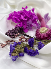 Сухоцветы фиолетовые