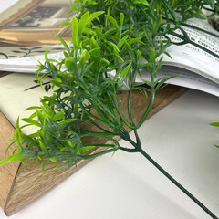 Аспарагус, искусственная зелень, ветка 26 см, набор 10 веток.