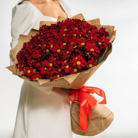 Букет 19 красных кустовых хризантем