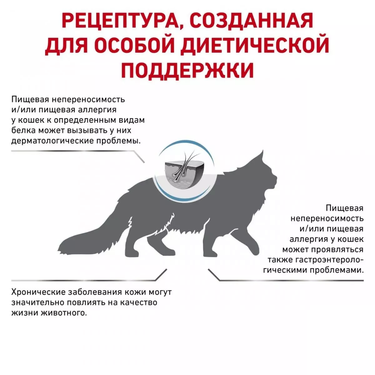 Корм для кошек, Royal Canin Anallergenic AN 24 Feline, с тяжелой формой  пищевой аллергии/непереносимости купить с доставкой в интернет-магазине  зоогастроном.ру