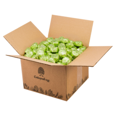 Конфеты "Кедровый марципан" классический в шоколадной глазури / гофрокороб /1000 г / Сибирский кедр