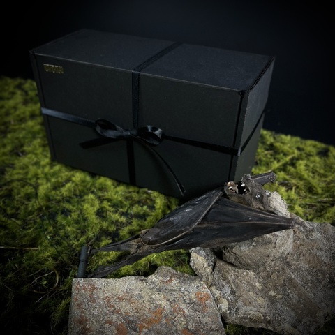 Летучая мышь в подарочной коробке