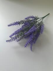 Лаванда ветка