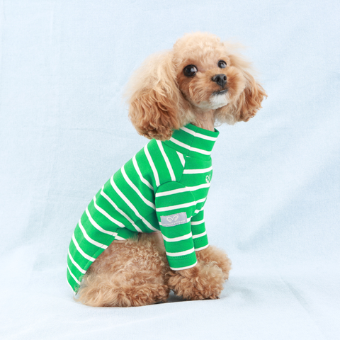 588 Водолазка в полоску "Stripes T-Shirt Puppy Angel"