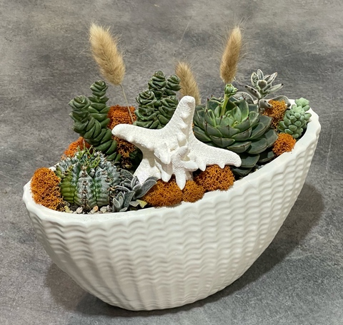 Композиция из суккулентов «Вся в Белом»